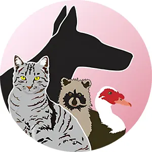 Humane Animal Removal